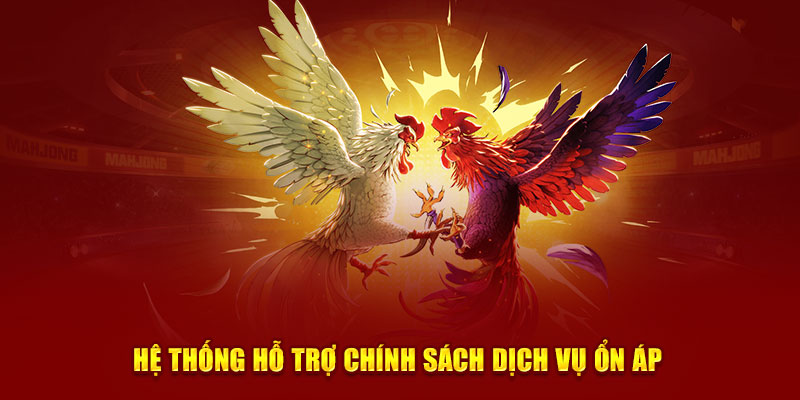 Hệ thống hỗ trợ chính sách dịch vụ ổn áp